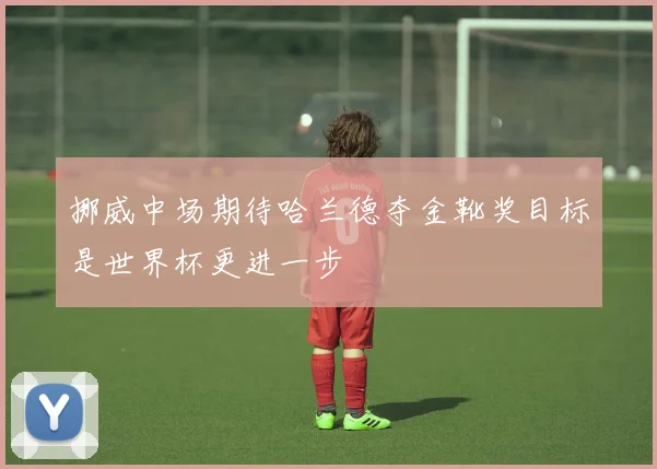 挪威中场期待哈兰德夺金靴奖目标是世界杯更进一步