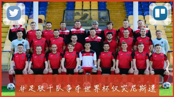 非足联十队争夺世界杯仅突尼斯遗憾出局尴尬不已
